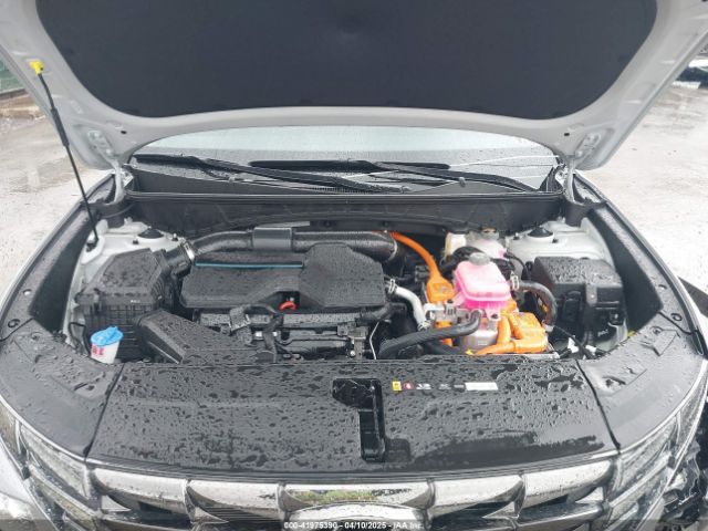 KM8JECD15RU218592 Hyundai Tucson Hybrid Limited