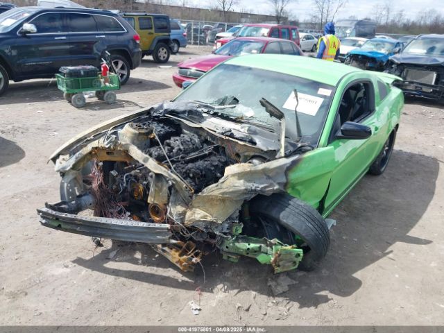 2013 FORD MUSTANG 1ZVBP8AM1D5243147 Photo 1