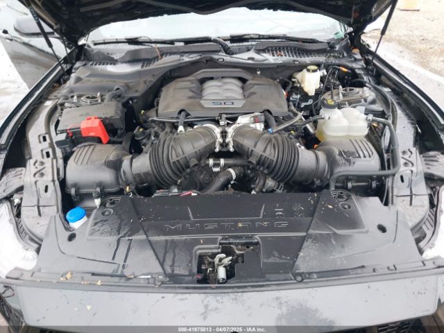 1FA6P8CF5R5417110 Ford Mustang Gt Premium Fastback