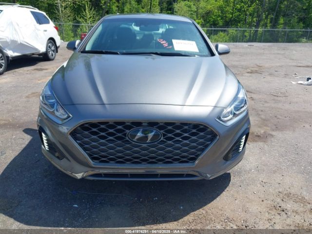 5NPE34AF0KH806515 Hyundai Sonata Limited