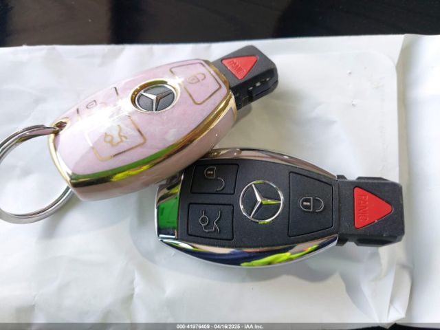 W1NTG4GB0LU030774 Mercedes-Benz 270