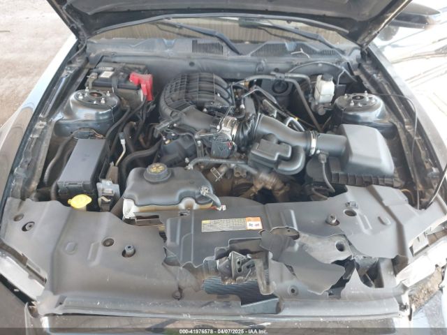 1ZVBP8AMXE5219334 Ford Mustang V6 Premium