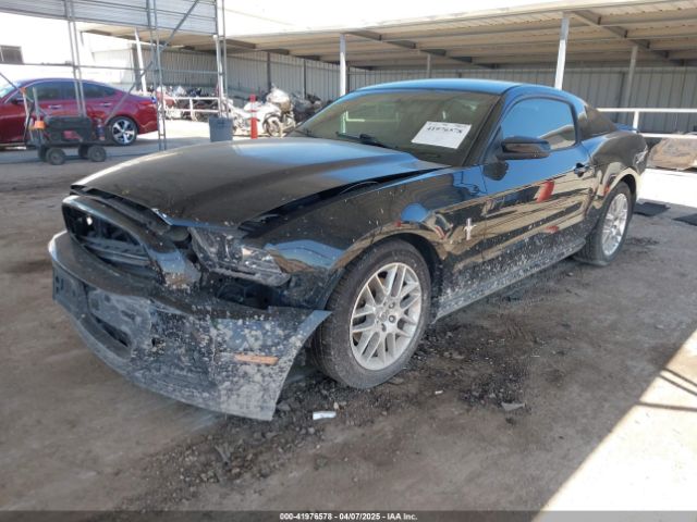 1ZVBP8AMXE5219334 Ford Mustang V6 Premium