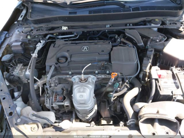 19UUB1F68LA012488 Acura TLX