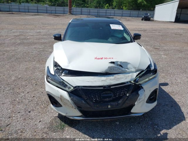 1N4AA6FV3PC510428 Nissan Maxima Platinum Xtronic Cvt