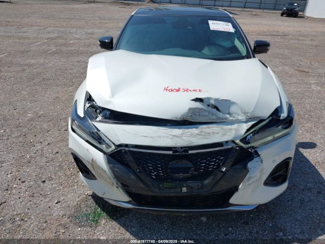 1N4AA6FV3PC510428 Nissan Maxima Platinum Xtronic Cvt