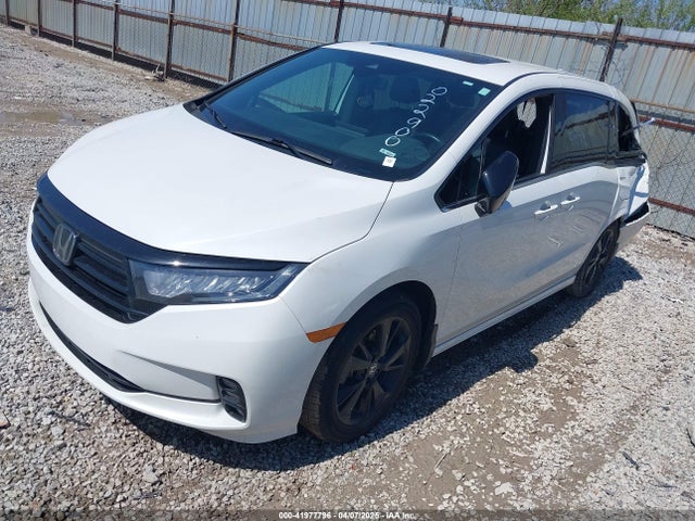 Honda Odyssey Sport 2023 5FNRL6H73PB022900 Image 2