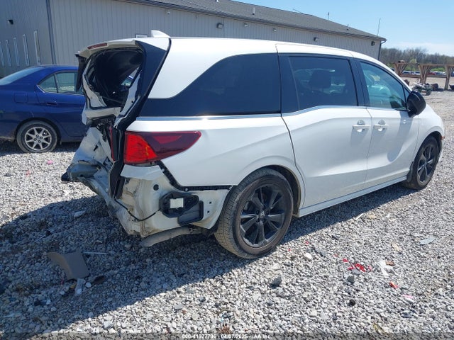 Honda Odyssey Sport 2023 5FNRL6H73PB022900 Image 4