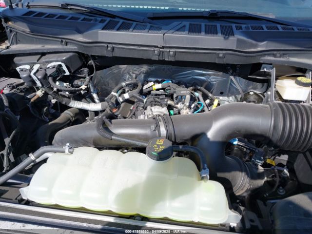 1FTEW2KP6RKD58912 Ford F-150 Stx
