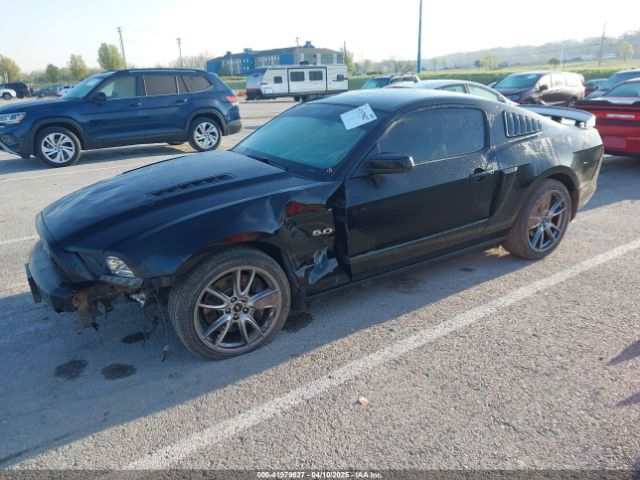 1ZVBP8CF3E5242341 Ford Mustang Gt Premium