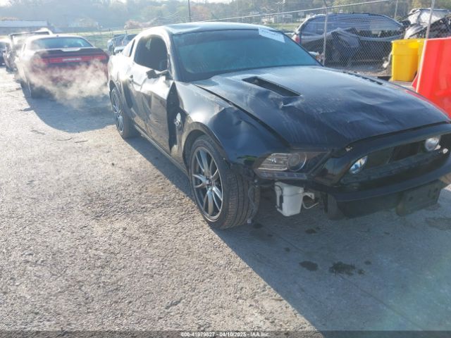 1ZVBP8CF3E5242341 Ford Mustang Gt Premium