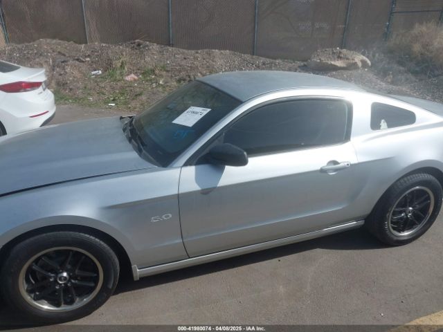 1ZVBP8AM6E5318278 Ford Mustang V6