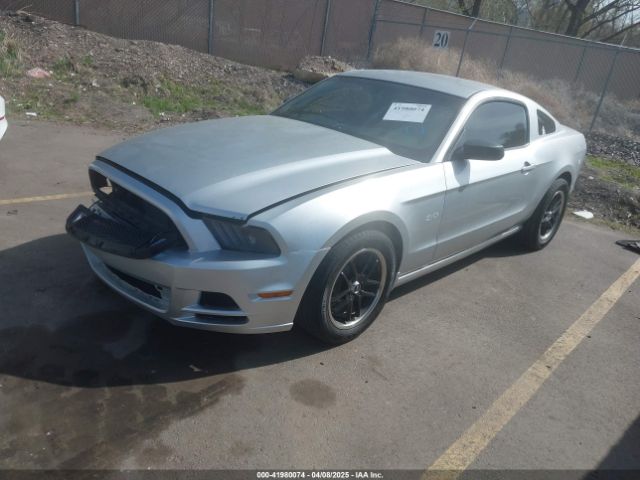 1ZVBP8AM6E5318278 Ford Mustang V6