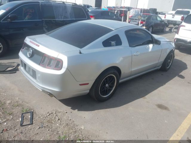 1ZVBP8AM6E5318278 Ford Mustang V6
