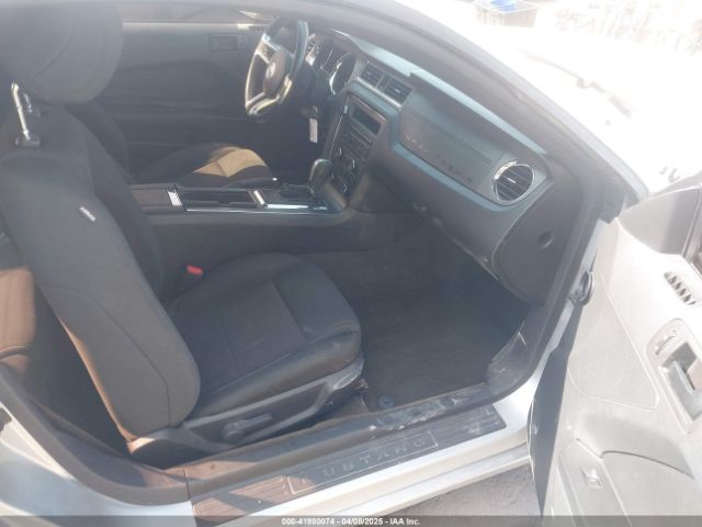 1ZVBP8AM6E5318278 Ford Mustang V6