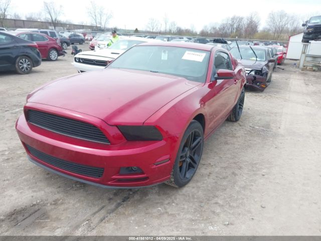 1ZVBP8AM0E5272947 Ford Mustang V6