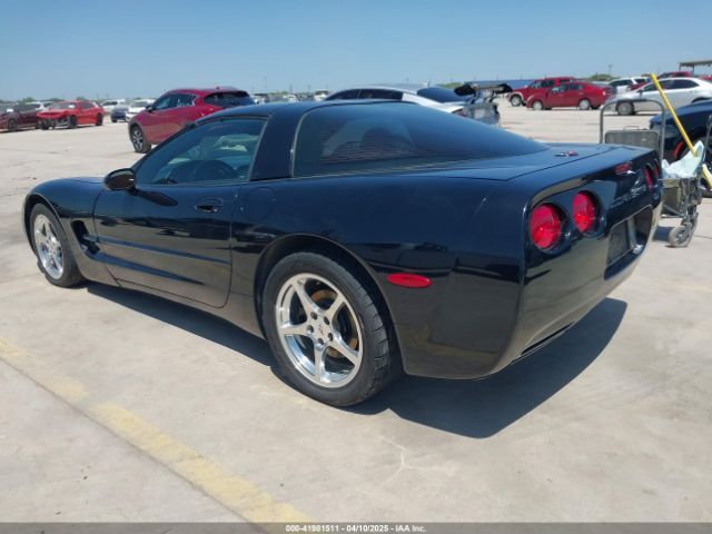2004 CHEVROLET CORVETTE 1G1YY22G745130585 Photo 2