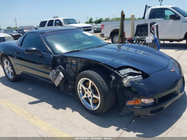 2004 CHEVROLET CORVETTE 1G1YY22G745130585 Photo 5