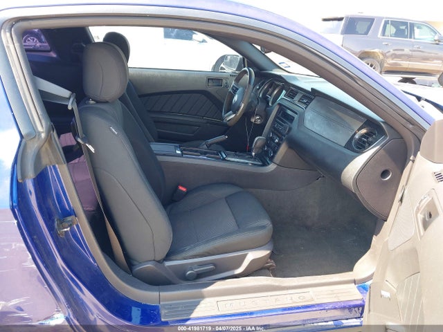1ZVBP8AM6E5326896 Ford Mustang V6
