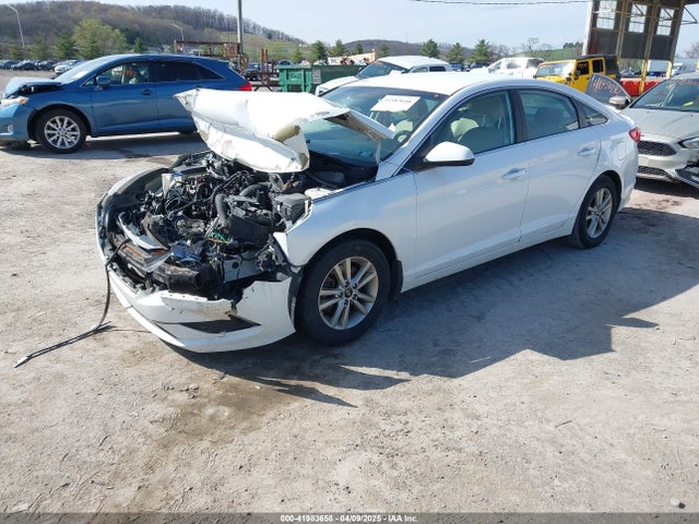 5NPE24AF9HH438492 Hyundai SONATA SE