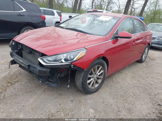 5NPE24AF8KH789935 Hyundai SONATA SE