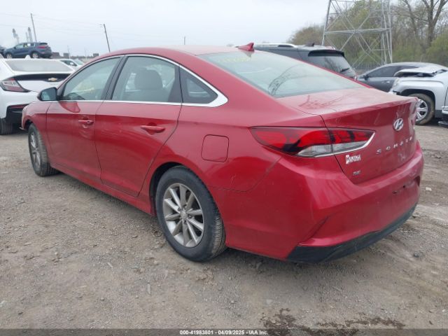 5NPE24AF8KH789935 Hyundai SONATA SE