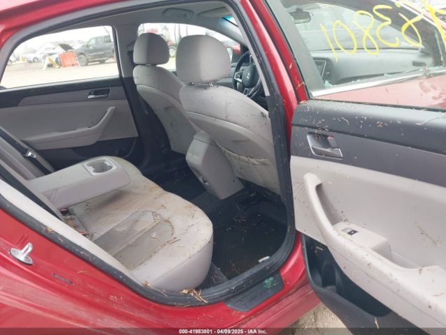 5NPE24AF8KH789935 Hyundai SONATA SE