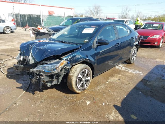 2T1BURHE5KC229381 Toyota COROLLA LE