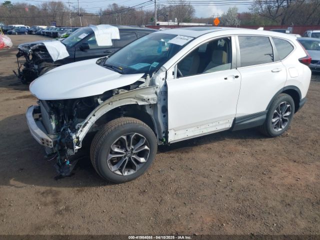 2HKRW2H50LH687568 Honda Cr-v Awd Ex