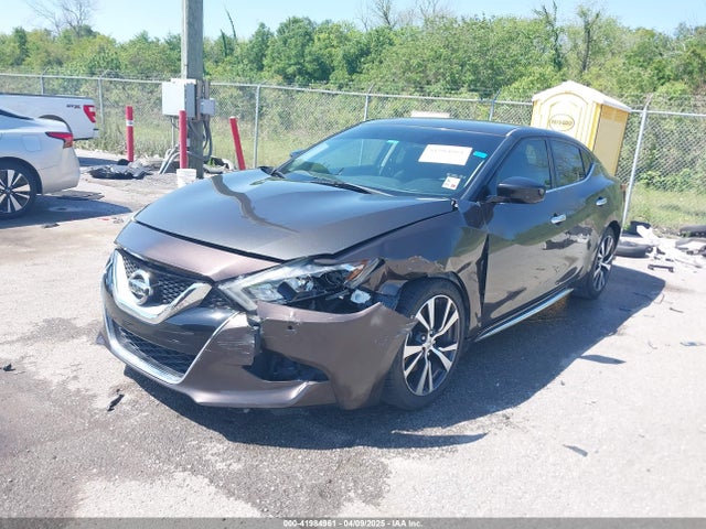 1N4AA6AP8GC411225 Nissan Maxima 3.5 Platinum/3.5 S/3.5 Sl/3.5 Sr/3.5 Sv