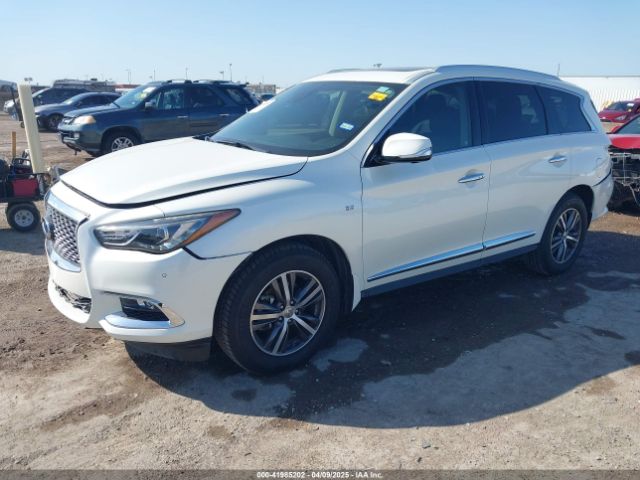 5N1DL0MN9KC504400 Infiniti QX60 LUXE