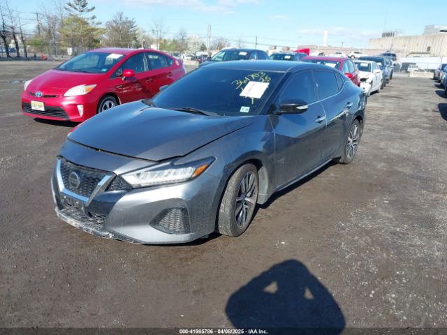1N4AA6CV7LC375923 Nissan Maxima Sv Xtronic Cvt