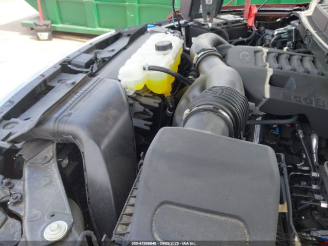 1FTFW1E80PKD40048 Ford F-150 Xlt