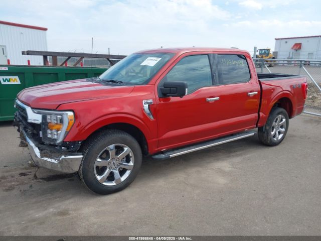 1FTFW1E80PKD40048 Ford F-150 Xlt