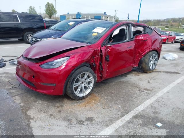 2024 TESLA MODEL Y 7SAYGDEE8RA224397 Photo 1