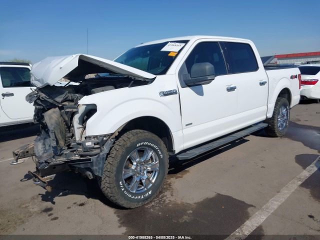 1FTEW1EP0FKE42273 Ford F-150 Xlt