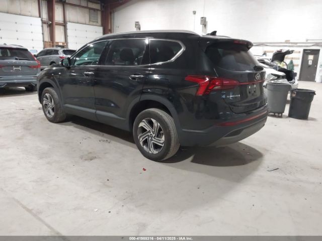 2023 HYUNDAI SANTA FE 5NMS2DAJ7PH587454 Photo 2