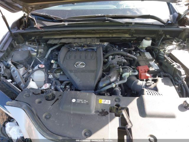 2T2KGCEZ6RC041955 Lexus Nx 350 Luxury/350 F Sport