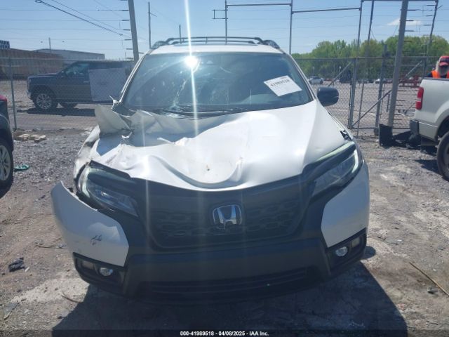5FNYF8H09KB015198 Honda Passport Elite