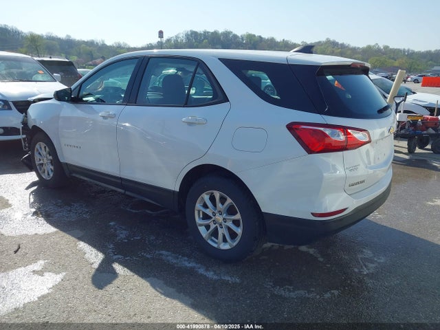 Chevrolet EQUINOX LS 2019 2GNAXSEVXK6279099 Image 3