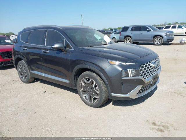 2023 HYUNDAI SANTA FE 5NMS44AL1PH487281