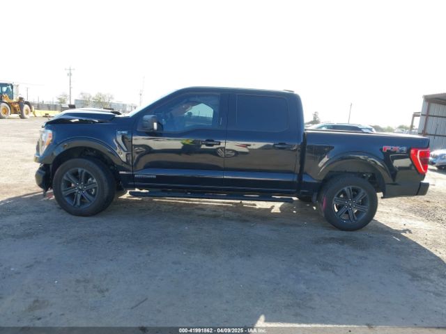 1FTFW1ED6PFB99461 Ford F-150 Xlt