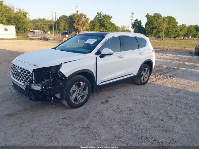 Hyundai Santa Fe Sel 2023 5NMS34AJ4PH569006 Image 2
