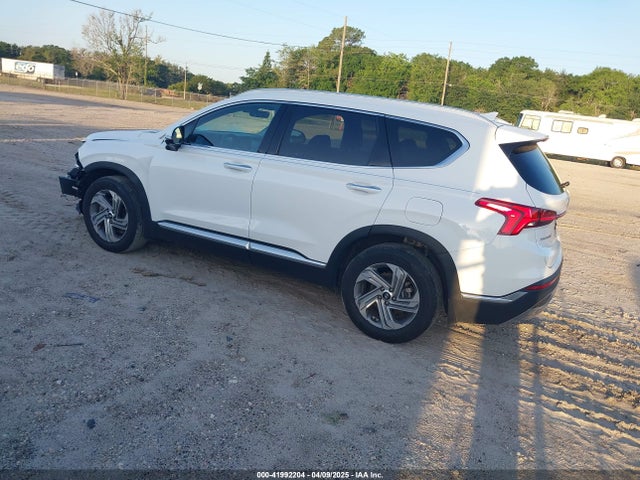 Hyundai Santa Fe Sel 2023 5NMS34AJ4PH569006 Image 3