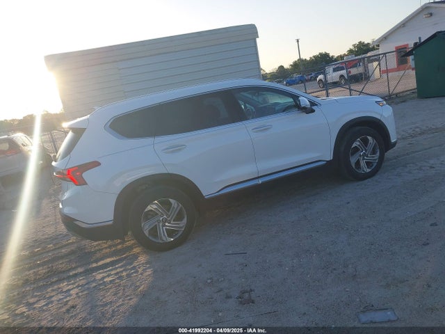 Hyundai Santa Fe Sel 2023 5NMS34AJ4PH569006 Image 4