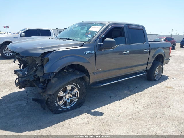 1FTEW1CP9FKE35969 Ford F-150 Xlt