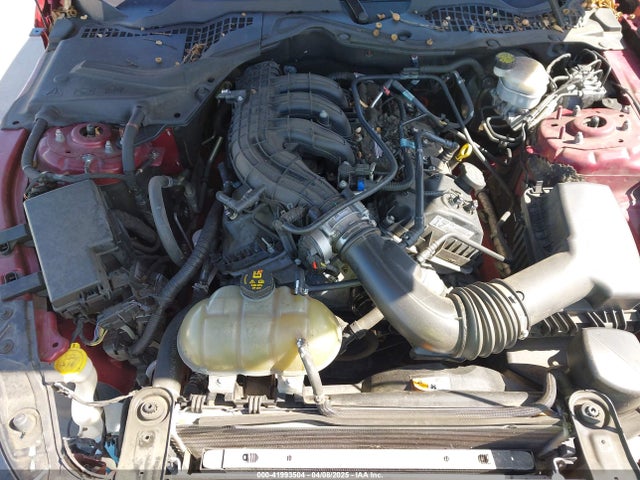 1FA6P8AM7H5266142 Ford Mustang V6
