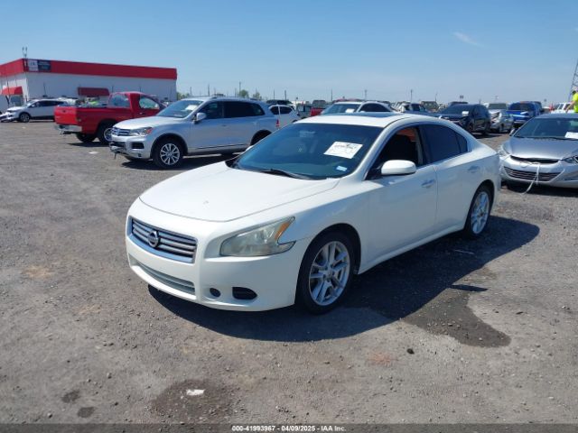 1N4AA5AP6EC493463 Nissan Maxima