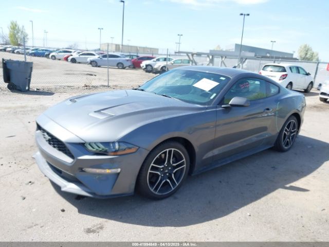 1FA6P8TH2M5138000 Ford Mustang Ecoboost Fastback