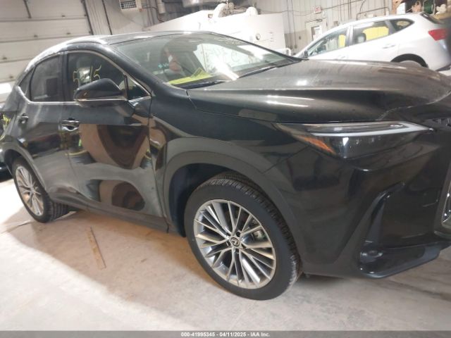 2T2HGCEZ2PC024528 Lexus Nx 350 Luxury